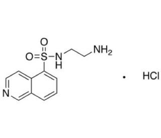 H-9 hydrochloride (CAS 116970-50-4) - chemical structure image