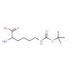 H-D-Lys(Boc)-OH (CAS 31202-69-4) - chemical structure image