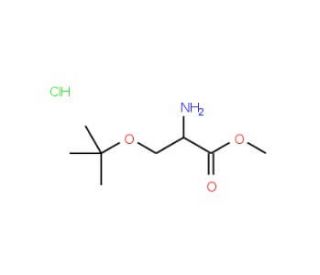 H-D-Ser(tBu)-OMe*HCl (CAS 78537-14-1) - chemical structure image