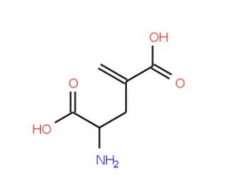 H-gamma-Methylene-DL-Glu-OH (CAS 7150-74-5) - chemical structure image
