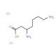 H-L-β-HLys-OH Dihydrochloride (CAS 192003-02-4) - chemical structure image