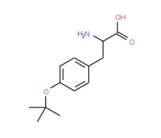 H-L-Tyr(tBu)-OH (CAS 18822-59-8) - chemical structure image