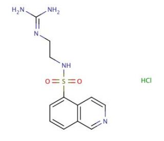 HA-1004 hydrochloride (CAS 92564-34-6) - chemical structure image