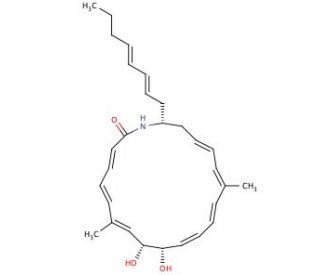 Heronamide C (CAS 1257083-94-5) - chemical structure image