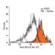 HLA-DQ1/3 Antibody (HL-37) - Flow Cytometry - Image 14230