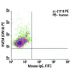 HVEM Antibody (CW10) - Flow Cytometry - Image 5991
