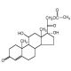 Hydrocortisone 21-acetate (CAS 50-03-3) - chemical structure image