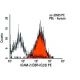 ICAM-2 Antibody (CBR-IC2/2) - Flow Cytometry - Image 9495 