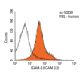 ICAM-3 Antibody (ICAM 3.2) - Flow Cytometry - Image 17995
