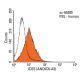 ICOS Antibody (ANC6C6-A3) - Flow Cytometry - Image 14512