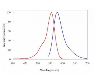 iFluor&trade; 555 maleimide: sc-460878