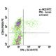 IFN-γ/Interferon gamma Antibody (G-23) - Flow Cytometry - Image 5795