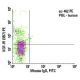 IGF-1 Receptor/IGF1R Antibody (3B7) - Flow Cytometry - Image 5946 