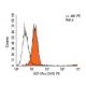 IGF-1 Receptor α/IGF1R Antibody (1H7) - Flow Cytometry - Image 9817 