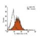 IL-12Rβ1 Antibody (DU-1) - Flow Cytometry - Image 5983