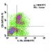 IL-2Rα Antibody (BC96) - Flow Cytometry - Image 5972
