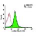 IL-2Rβ Antibody (TM-β1) - Flow Cytometry - Image 5973 