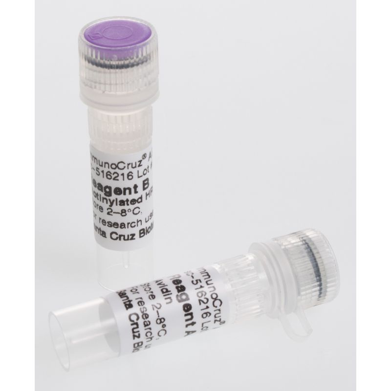 ImmunoCruz® ABC Kit | SCBIO - Santa Cruz Biotechnology