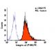 Integrin α3/ITGA3/CD49c Antibody (P1B5) - Flow Cytometry - Image 6048