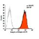 Integrin α3/ITGA3/CD49c Antibody (Ralph 3.2) - Flow Cytometry - Image 6050
