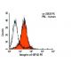 Integrin α4/ITGA4/CD49d Antibody (9F10) - Flow Cytometry - Image 9500 