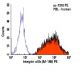 Integrin αIIb/ITGA2B/CD41 Antibody (M-148) - Flow Cytometry - Image 6071 