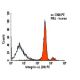 Integrin αL/ITGAL/CD11a Antibody (38) - Flow Cytometry - Image 6057