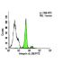 Integrin αL/ITGAL/CD11a Antibody (38) - Flow Cytometry - Image 6058 