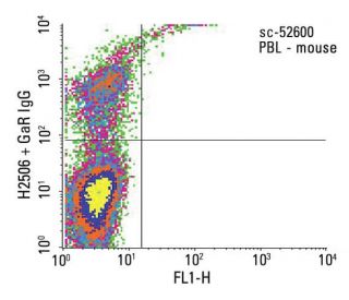 Integrin &alpha;M/CD11b Antibody (3A33) - Flow Cytometry - Image 13203