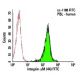 Integrin αM/CD11b Antibody (44) - Flow Cytometry - Image 6064