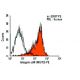 Integrin αM/CD11b Antibody (M1/70) - Flow Cytometry - Image 9499