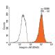 Integrin αM/CD11b Antibody (OX42) - Flow Cytometry - Image 13787