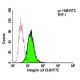 Integrin αX/ITGAX/CD11c Antibody (3.9) - Flow Cytometry - Image 6065