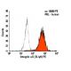 Integrin αX/ITGAX/CD11c Antibody (B-ly6) - Flow Cytometry - Image 6068 