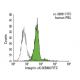 Integrin αX/ITGAX/CD11c Antibody (KB90) - Flow Cytometry - Image 147625
