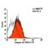 Integrin β1/ITGB1 Antibody (P4G11) - Flow Cytometry - Image 6079