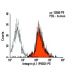 Integrin β1/ITGB1 Antibody (P5D2) - Flow Cytometry - Image 6077 