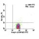 Integrin β2/ITGB2/CD18 Antibody (M18/2) - Flow Cytometry - Image 6085