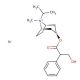 Ipratropium bromide (CAS 22254-24-6) - chemical structure image