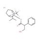 Ipratropium-d3 Iodide - chemical structure image