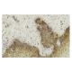 IRR Antibody (I-63) - Immunohistochemistry - Image 35966