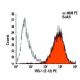 IRS-1 Antibody (E-12) - Flow Cytometry - Image 3099 