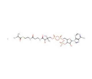 Isobutyryl coenzyme A lithium salt (CAS 103404-95-1) - chemical structure image