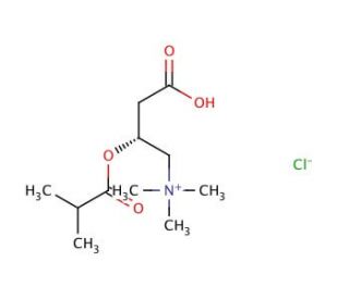Isobutyryl-L-carnitine chloride - chemical structure image