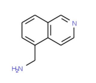 (Isoquinolin-5-yl)methanamine (CAS 58123-58-3) - chemical structure image