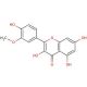 Isorhamnetin 的分子结构, CAS编号: 480-19-3 Isorhamnetin (CAS 480-19-3) - chemical structure image