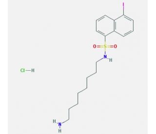 J-8 hydrochloride - chemical structure image
