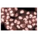JAB1 Antibody (42) - Immunofluorescence - Image 60523