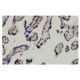 JMJD1C Antibody (BA-09) - Immunohistochemistry - Image 36279