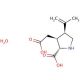 Kainic acid monohydrate (CAS 58002-62-3) - chemical structure image